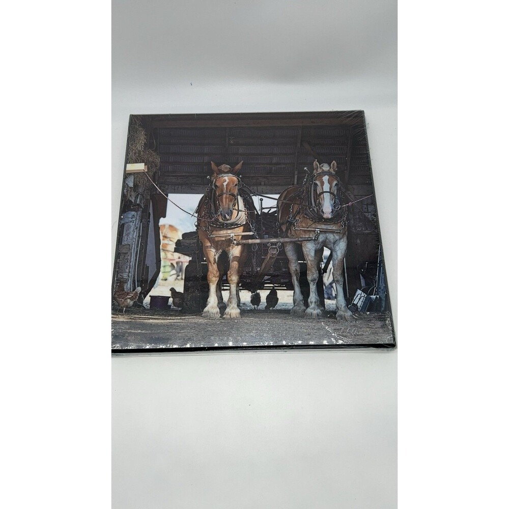 Amish Horses in Indiana PHOTO HANGING PLAQUE WALL DECOR-by David Arment-12"X 12"
